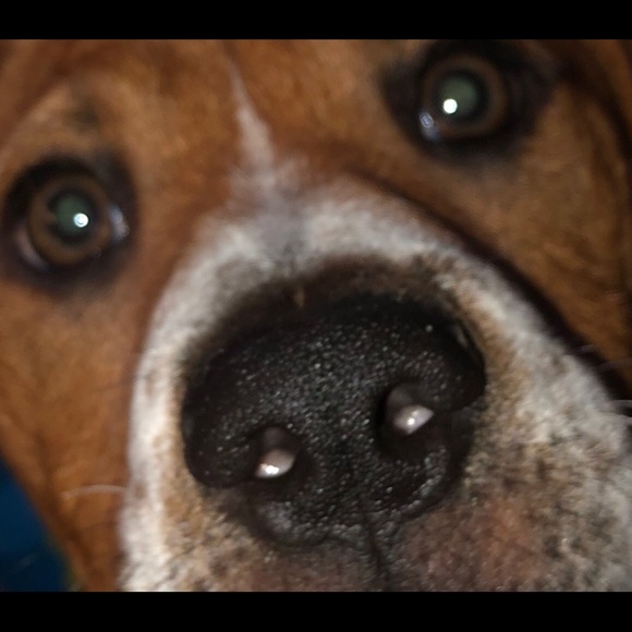 Lori & Roadie say hi! - Picture 4 of 15